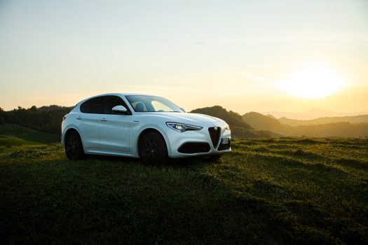 vit alfa romeo stelvio veloce på en äng