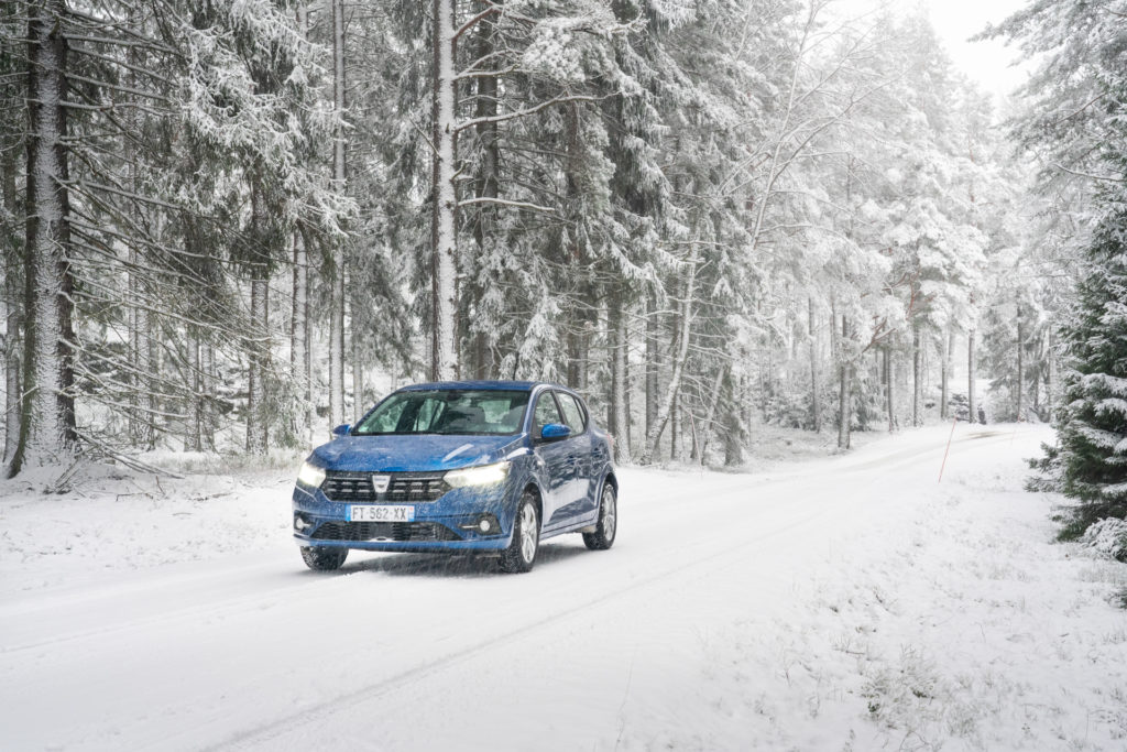 blå dacia sandero i skogen