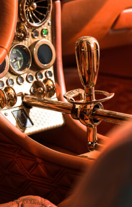 Spyker Preliator