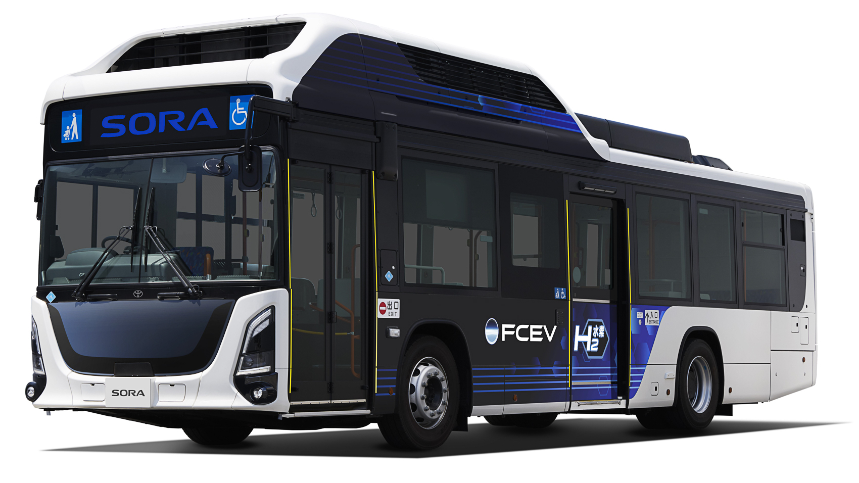 Buss